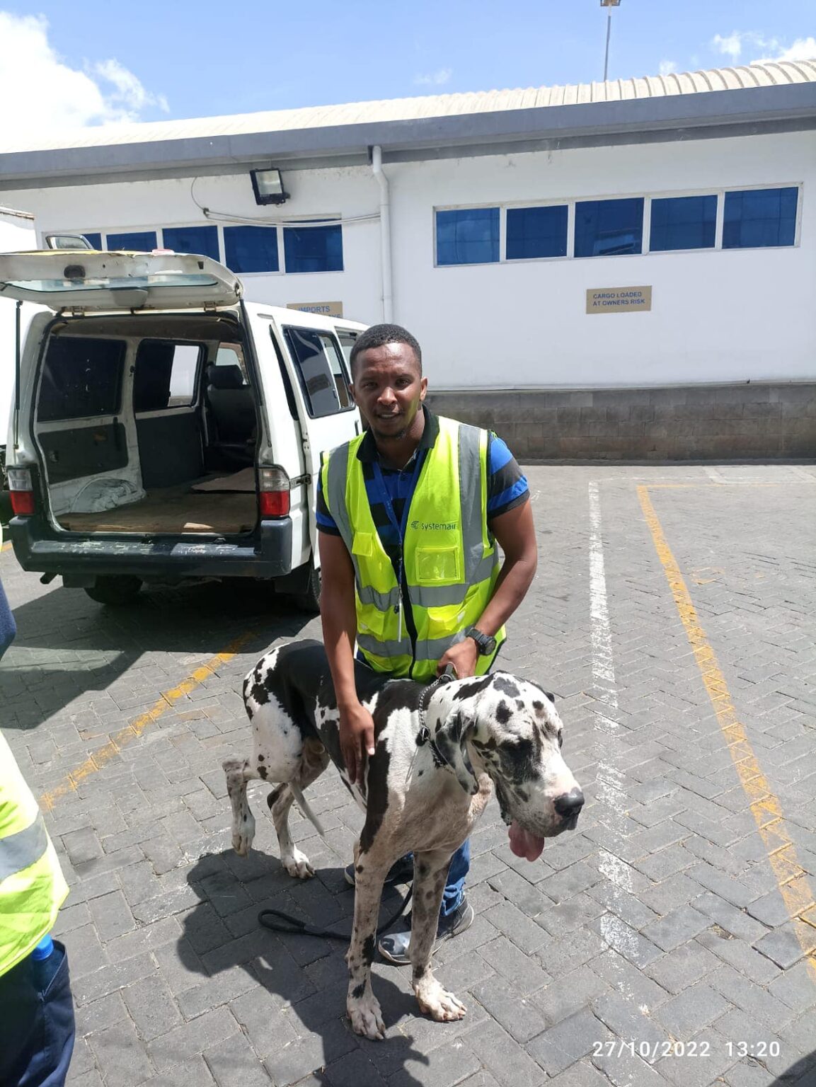 how-much-does-it-cost-to-fly-a-dog-prestige-pets-africa