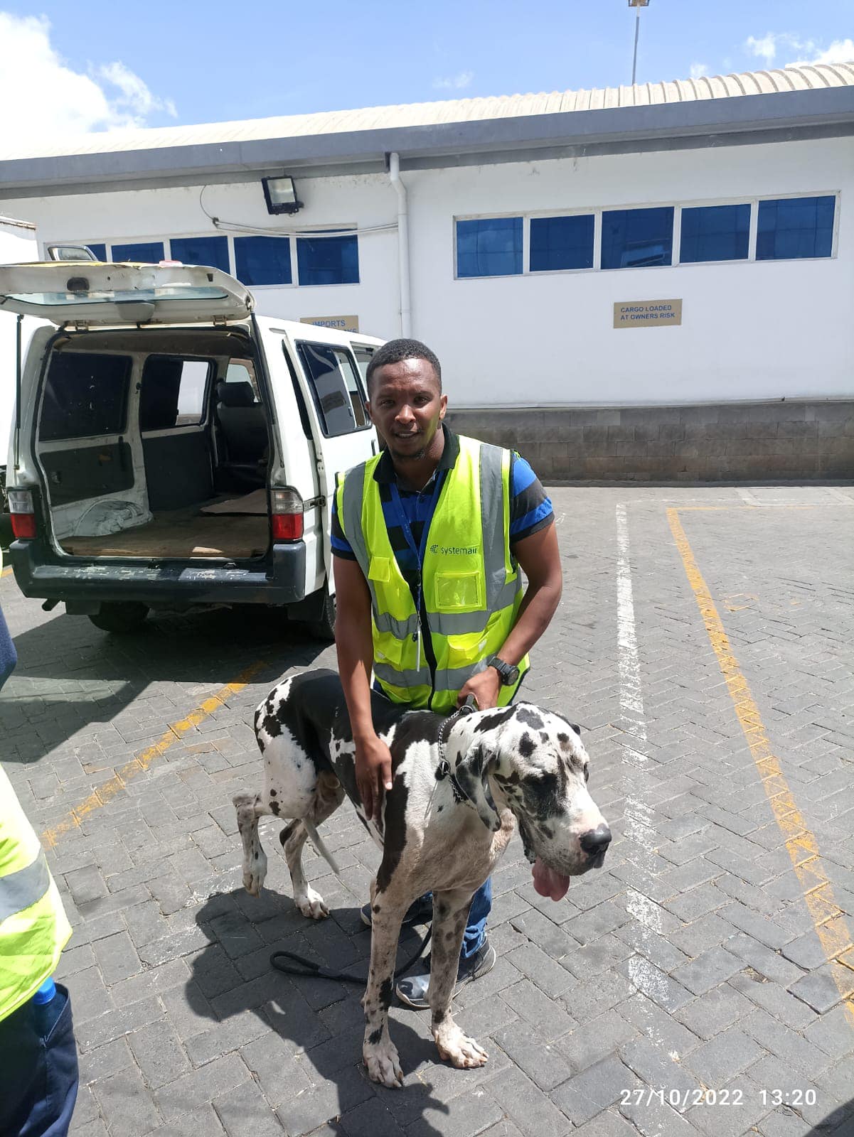 How Much Does It Cost To Fly a Dog Prestige Pets Africa