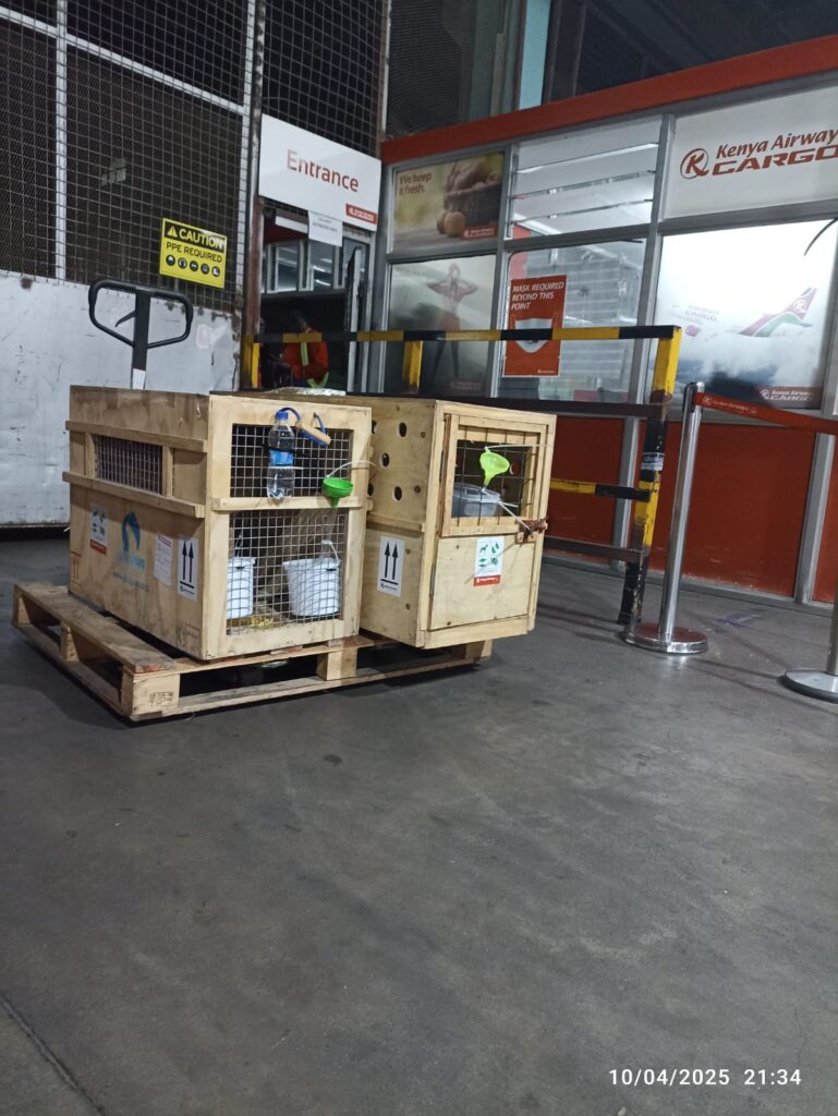 how much does it cost to relocate a pet in Kenya